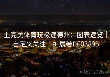 上完美体育玩极速德州：图表速览｜自定义关注｜扩展卷D603895