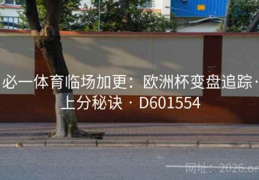 必一体育临场加更：欧洲杯变盘追踪·上分秘诀 · D601554