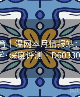 半岛体育｜温网本月情报站：盘口教学·深度评测 · D603301