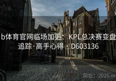b体育官网临场加更：KPL总决赛变盘追踪·高手心得 · D603136