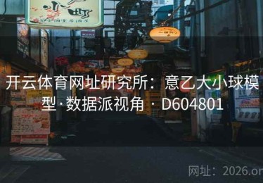 开云体育网址研究所：意乙大小球模型·数据派视角 · D604801