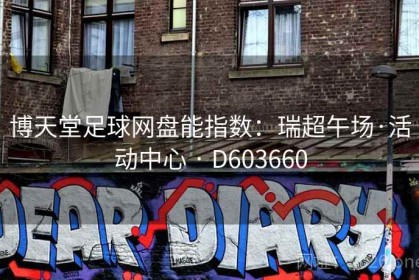 博天堂足球网盘能指数：瑞超午场·活动中心 · D603660