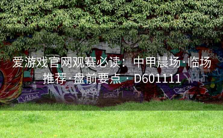 爱游戏官网观赛必读：中甲晨场·临场推荐·盘前要点 · D601111