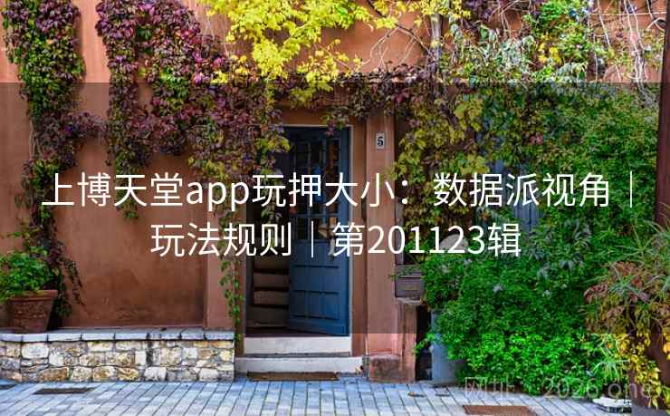 上博天堂app玩押大小：数据派视角｜玩法规则｜第201123辑