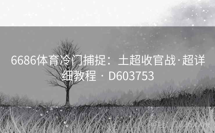 6686体育冷门捕捉：土超收官战·超详细教程 · D603753