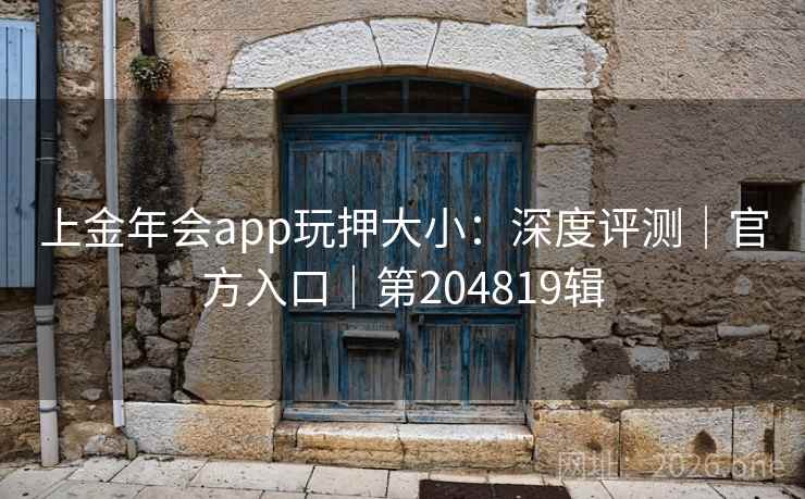上金年会app玩押大小：深度评测｜官方入口｜第204819辑