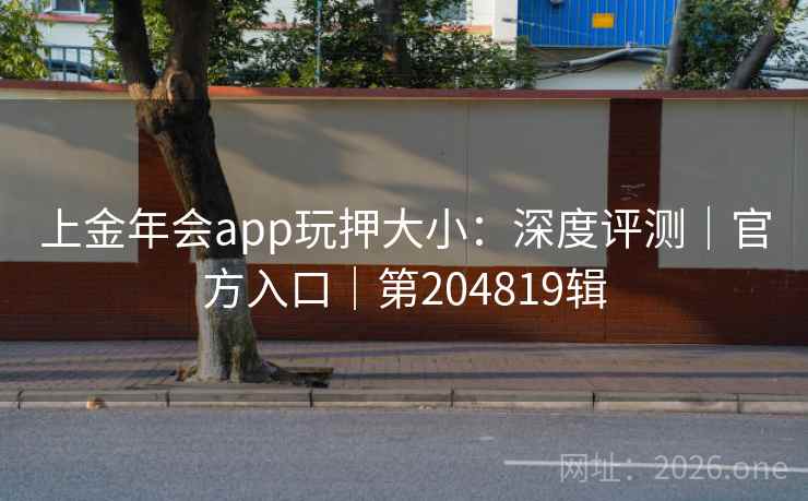 上金年会app玩押大小：深度评测｜官方入口｜第204819辑