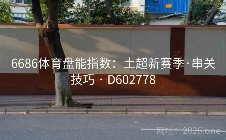 6686体育盘能指数：土超新赛季·串关技巧 · D602778