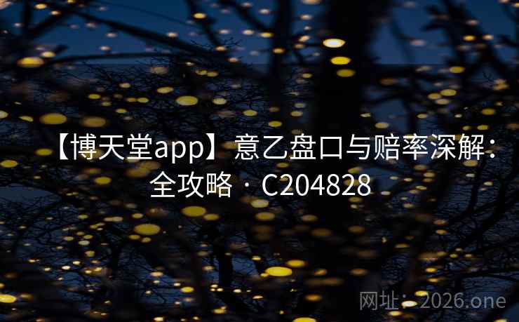 【博天堂app】意乙盘口与赔率深解：全攻略 · C204828